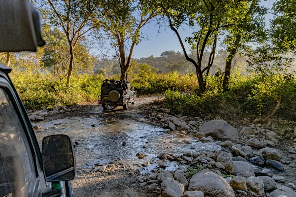 Explore the wilderness of Uttarakhand with an off-road safari adventure.