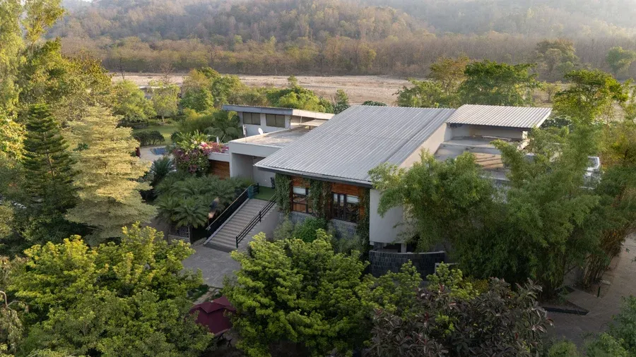 Golden_Forest_Entrance